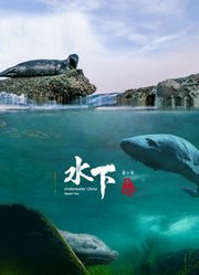 水下中国第2季