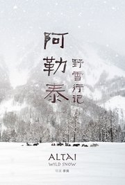 阿勒泰野雪行记