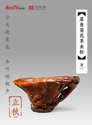 永远的行走第2季