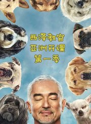 西泽教官亚洲开课第1季
