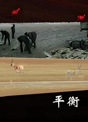 平衡高清修复版