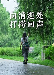 向消逝处打捞回声