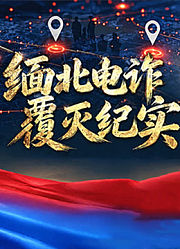 缅北电诈覆灭纪实