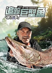 追踪巨型鱼第4季