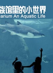 水族馆里的小世界