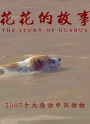 花花的故事