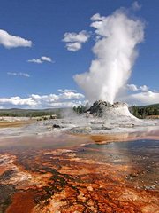 野生生物，走出寒冷，进入火焰，黄石超级火山