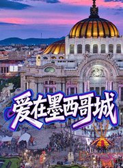 爱在墨西哥城