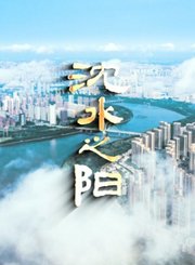 沈水之阳