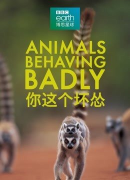 你这个坏怂