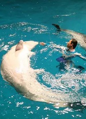 深海传奇