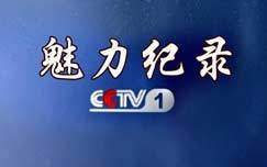 魅力纪录