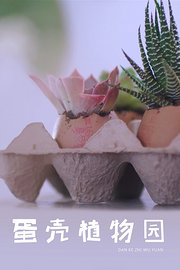 DIY超萌蛋壳植物园