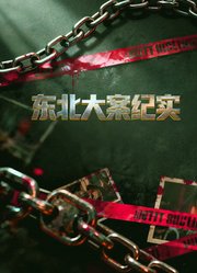东北大案纪实