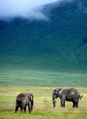 火山口探险之旅