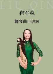 著名柳琴家崔军淼柳琴曲目讲解课程