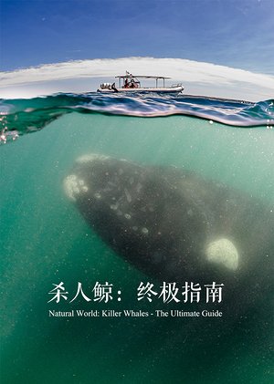 杀人鲸：终极揭秘