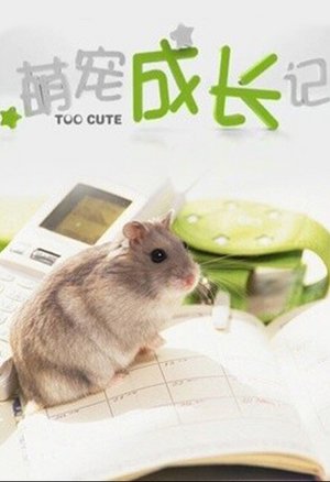 萌宠成长记