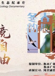 四季衡湖竞自由