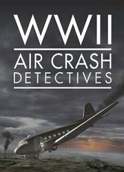 二战坠机调查