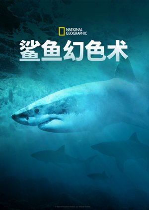 鲨鱼幻色术