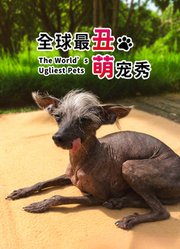 全球最丑萌宠秀-配音版