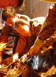 传说此墓有40万斤黄金，考古家强行进入，大呼：这是北斗七星墓