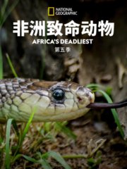 非洲致命动物第5季