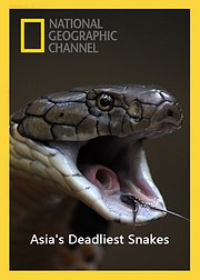 亚洲最致命毒蛇