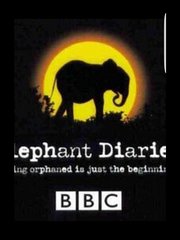 大象日记第1季：更新