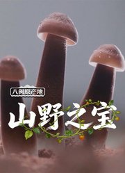 八闽原产地·山野之宝