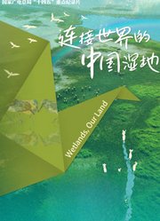 连接世界的中国湿地