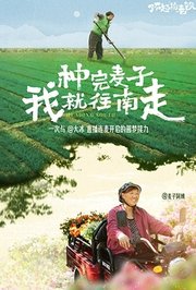 种完麦子我就往南走