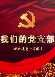 我们的党支部