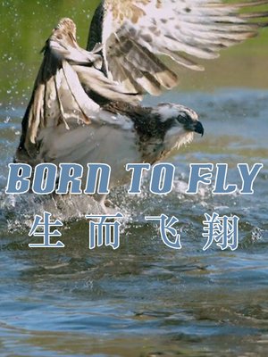 生而飞翔