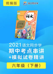 2021语文同步学统编版六年级下册期中考点