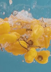 畅游天下福建篇