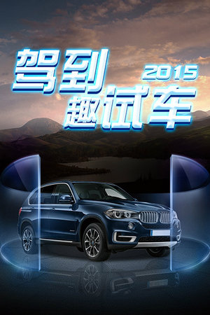 驾到趣试车2015