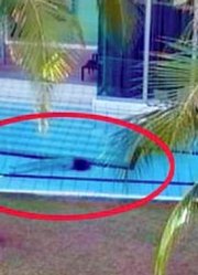 美国男子刺了妻子44刀，并将她溺死在泳池里，事后称自己在梦游！