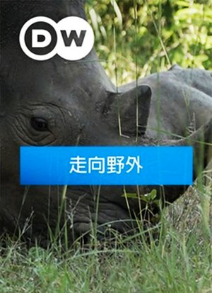 走向野外第3季