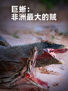巨蜥：非洲最大的贼