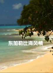 东加勒比海风情