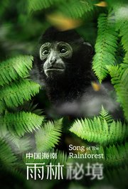 中国海南·雨林秘境
