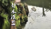 静水107