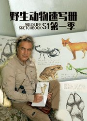 野生动物速写册英文版