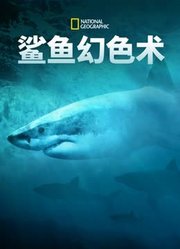 鲨鱼幻色术
