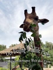 北京野生动物园——动物的奇妙乐土
