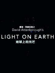 大卫·爱登堡之地球上的光芒