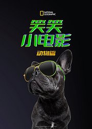 笑笑小电影动物篇