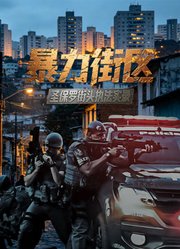 暴力街区：圣保罗街头执法实录